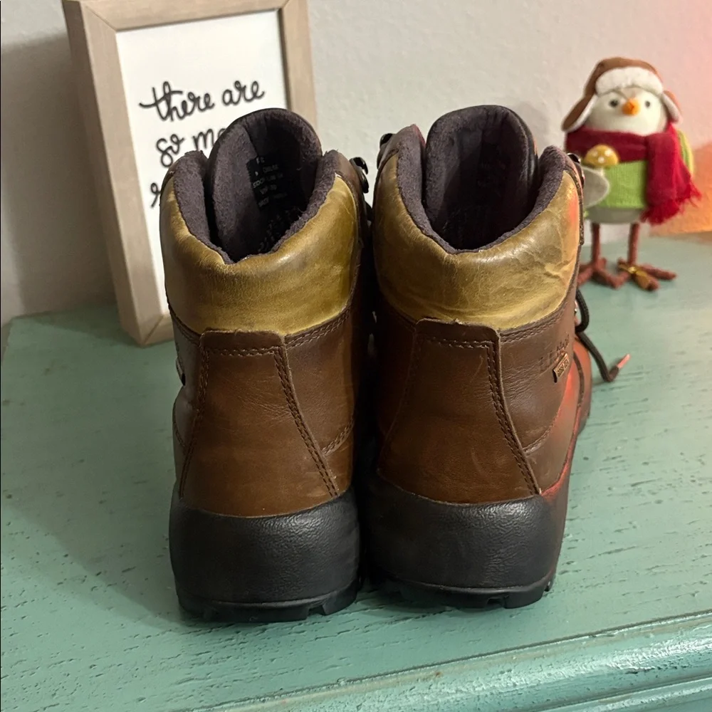 Brown L.L. Bean Hiking Boots SZ 9 mens box 102